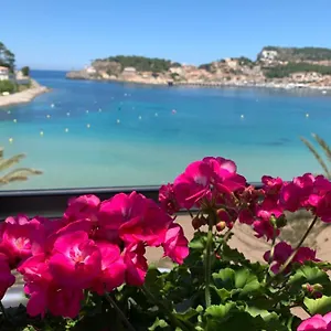 Geranios Spain